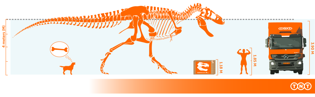 TREXFIN5