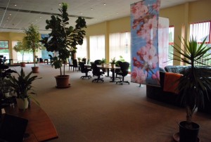 kiadó, ipari park, vecsés