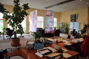 kiadó, ipari park, vecsés