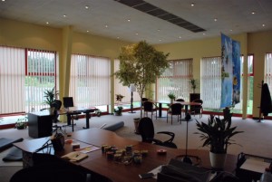 kiadó, ipari park, vecsés