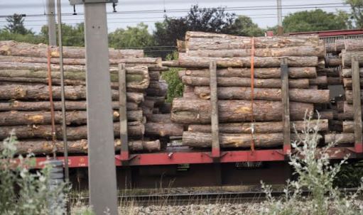 A Rail Cargo Hungaria megduplázza szociális tűzifa fuvarozási kapacitását